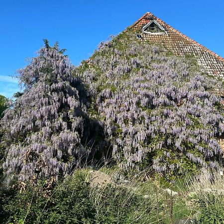 Kornmuehle Doppelzimmer Muehlenstein Mellenthin Exteriér fotografie
