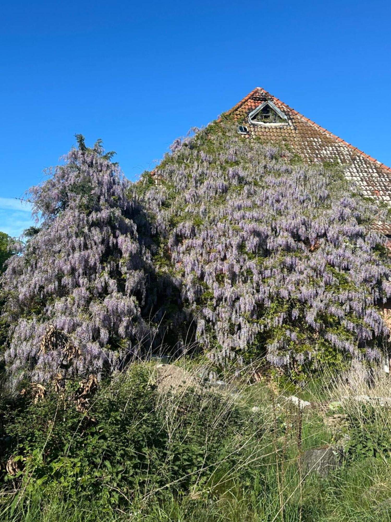 Kornmuehle Doppelzimmer Muehlenstein Mellenthin Exteriér fotografie
